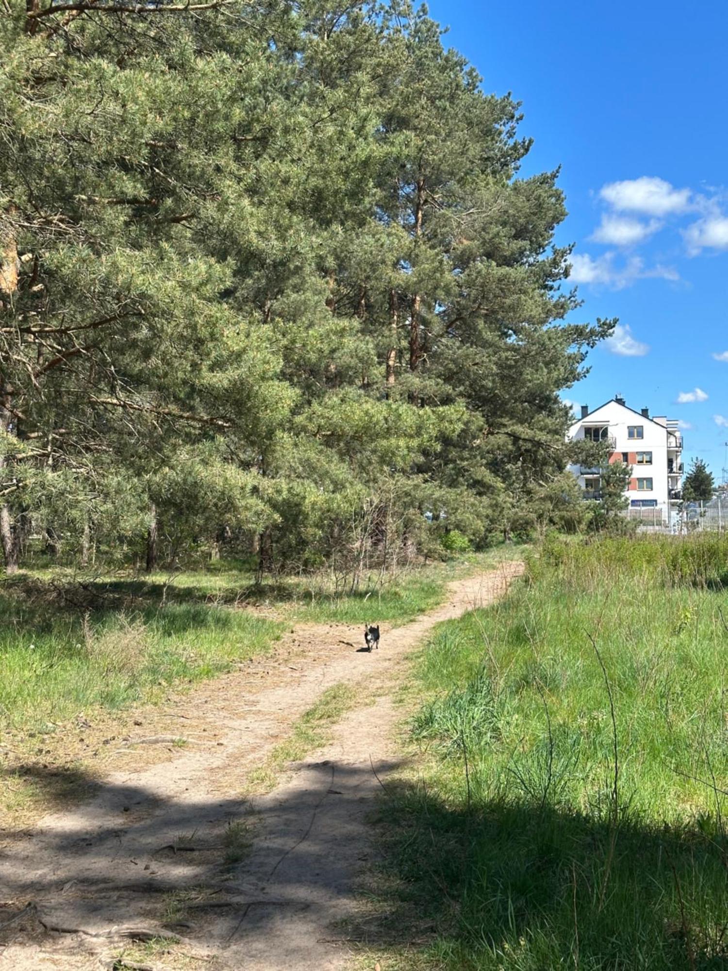 Sofia-Mona Luxury Apartments Lebork Bagian luar foto